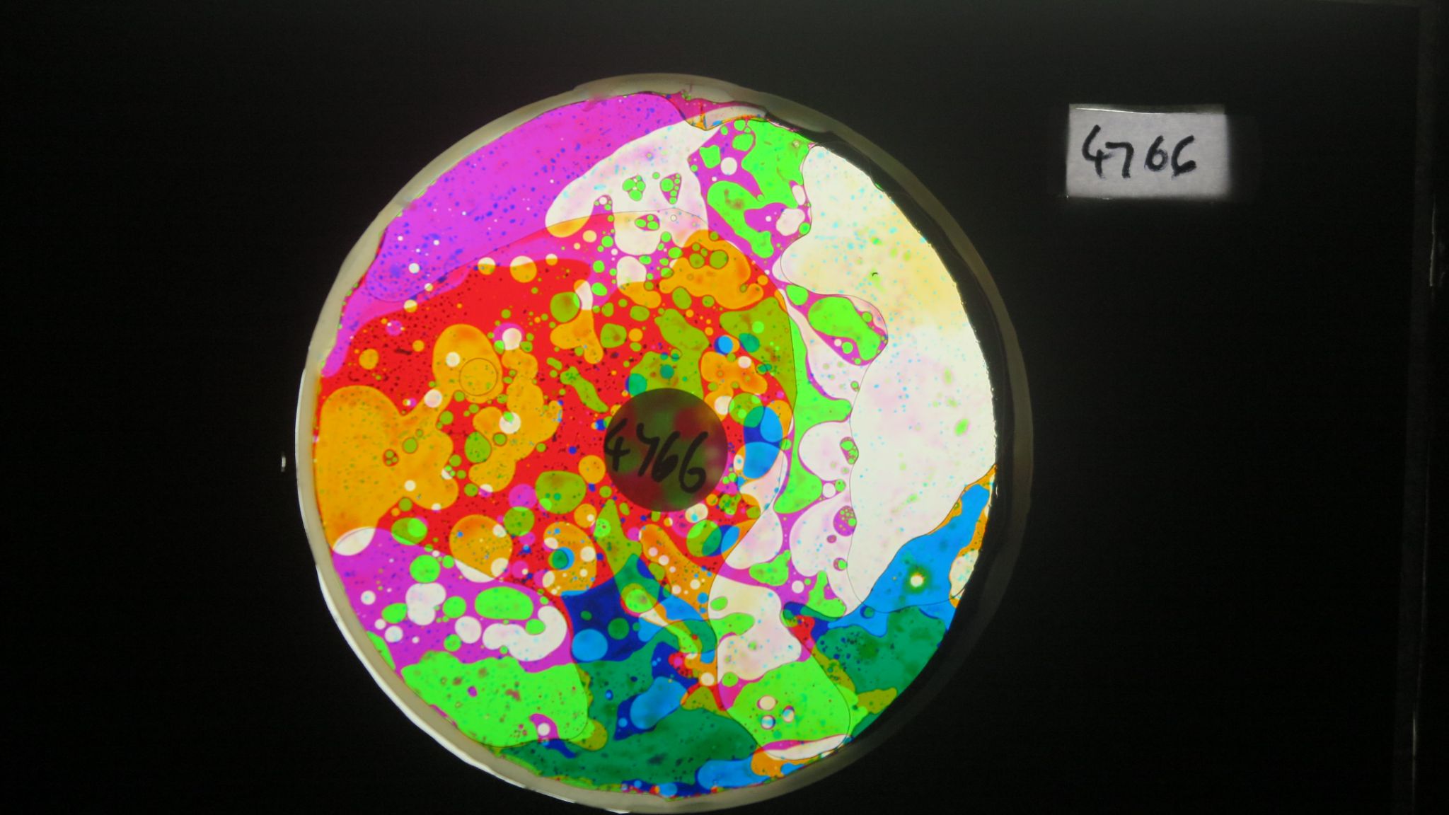 BV4766 bubble vision oil wheel